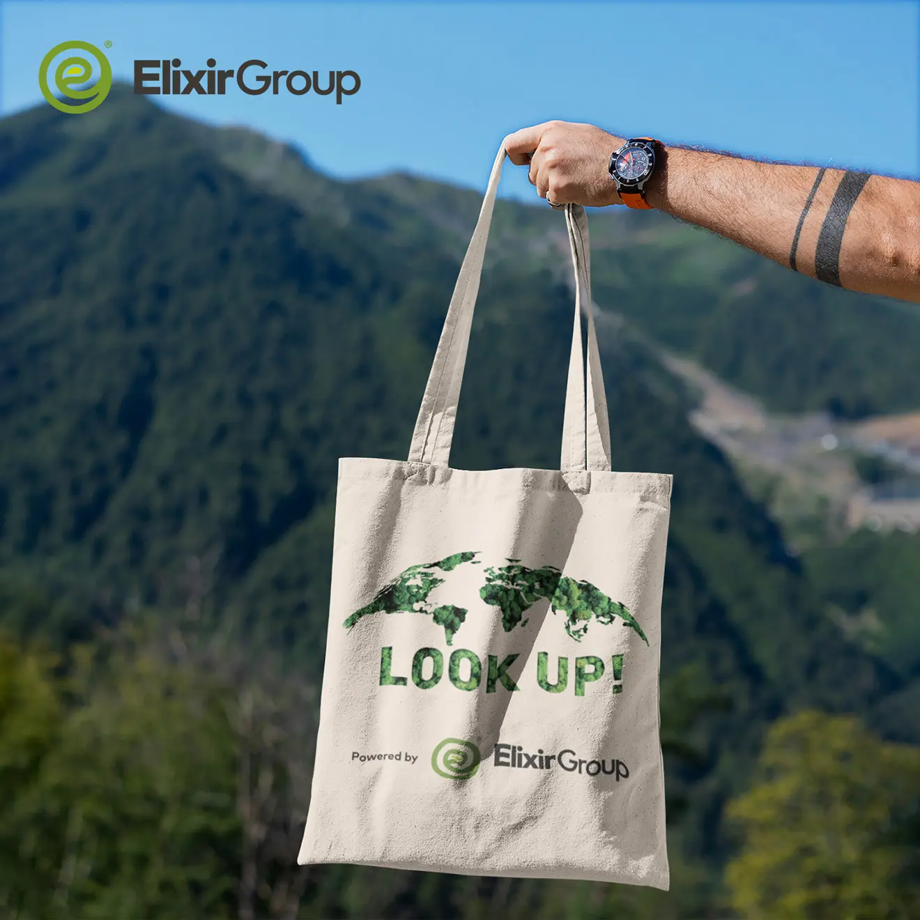 elixir group ceger